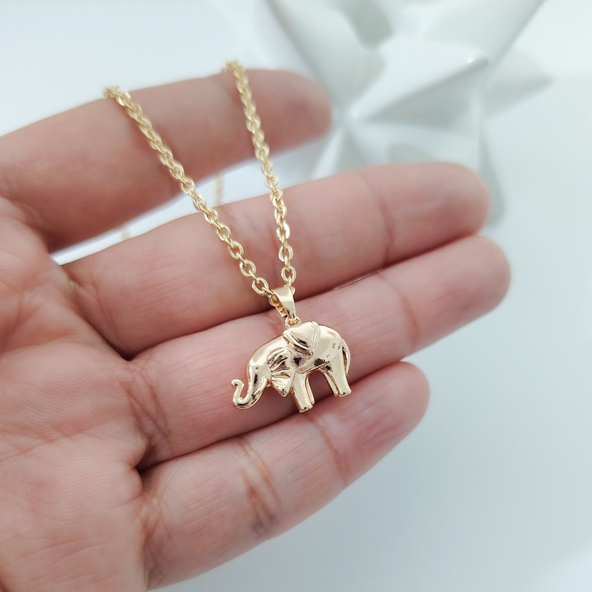 Collar dije elefante