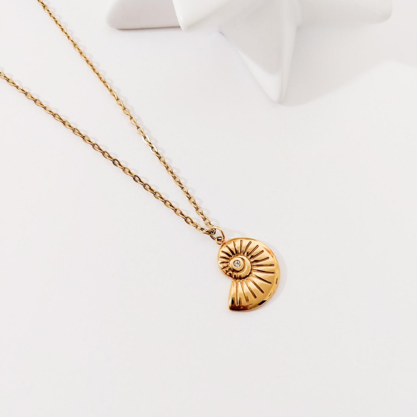 Collar dije caracol en acero inoxidable