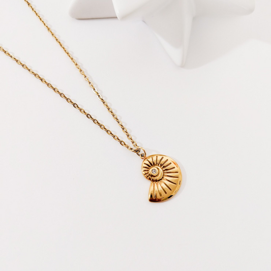 Collar dije caracol en acero inoxidable