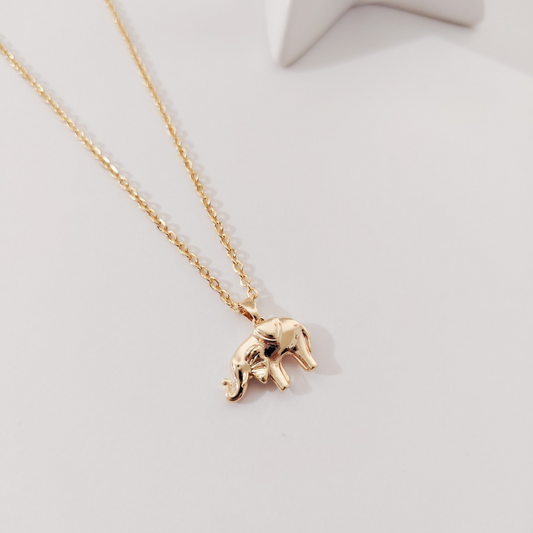 Collar dije elefante